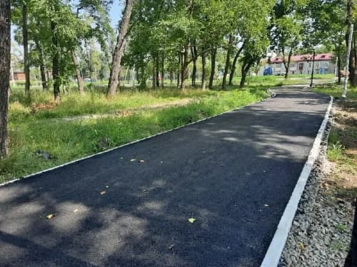 Асфальтированная дорожка в парке, окружённая зелёными деревьями